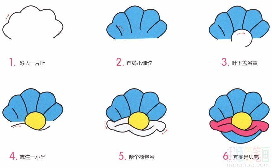 小贝壳的画法