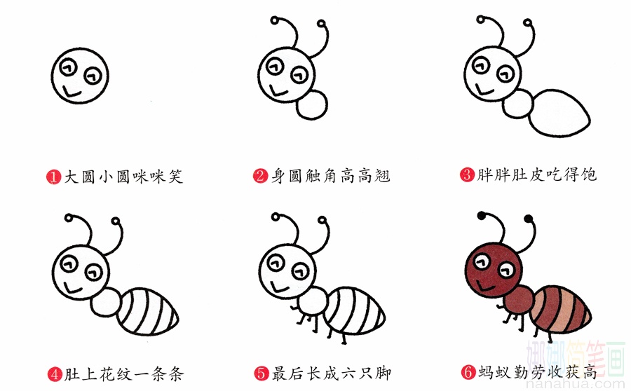 蚂蚁的画法
