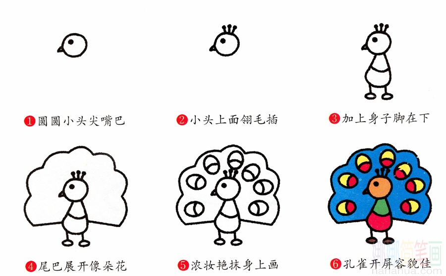 孔雀的画法