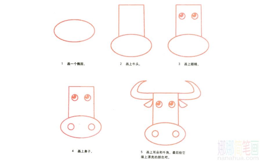公牛的画法