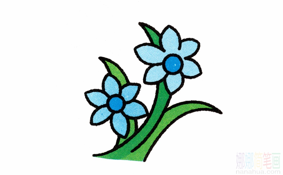 兰花的画法