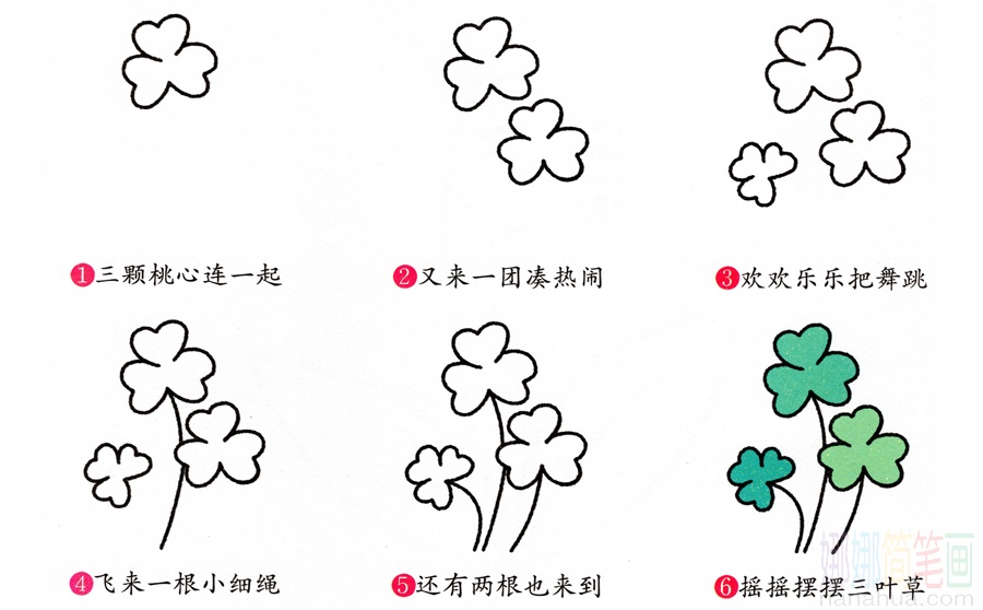 三叶草的画法