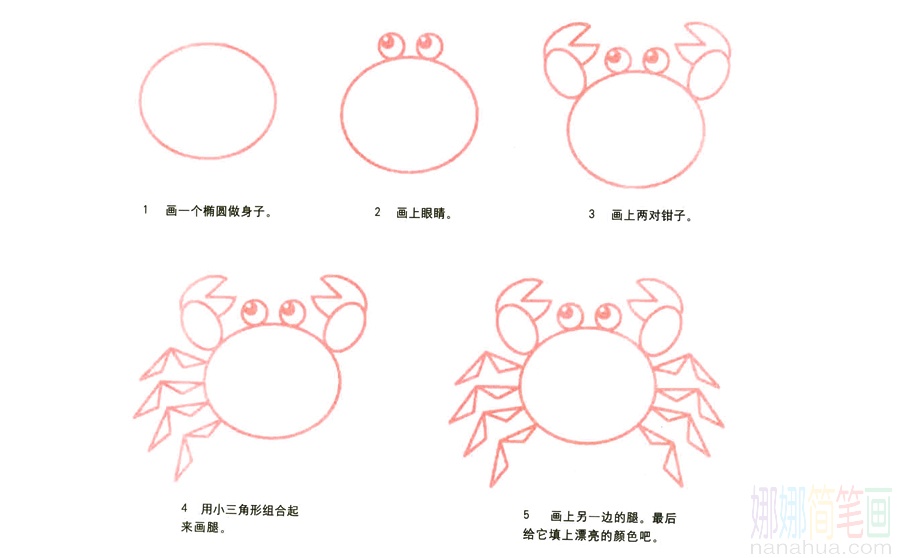 螃蟹的画法