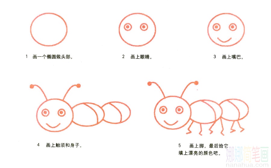 蚂蚁的画法