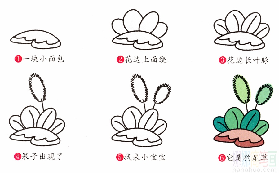 狗尾草的画法