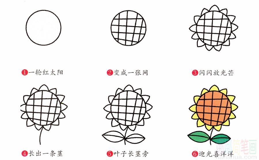 向日葵的画法