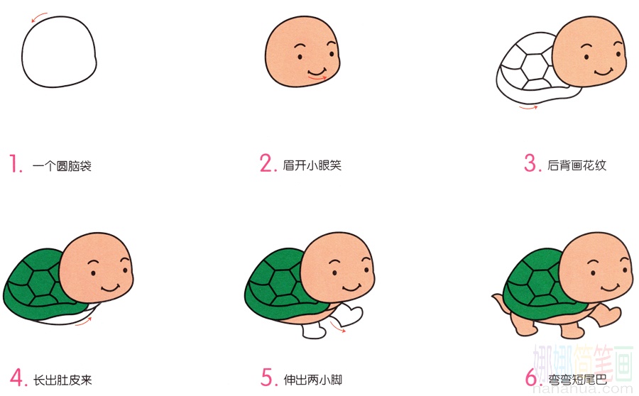 小乌龟的画法