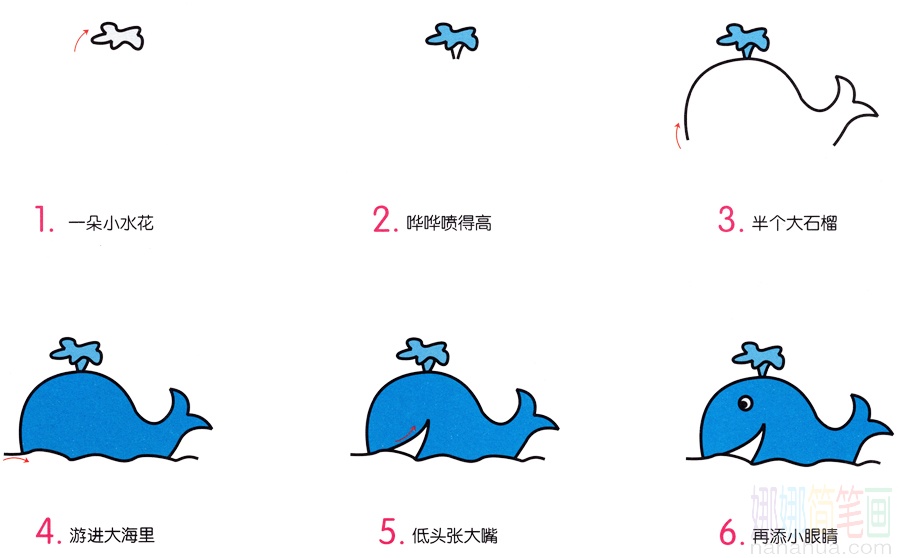 小鲸鱼的画法