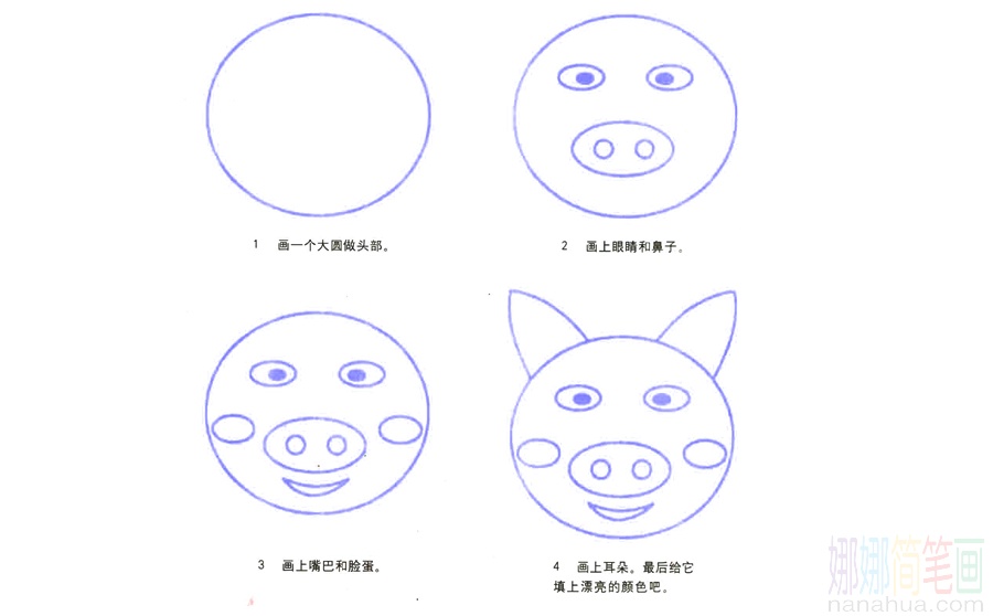 猪的画法