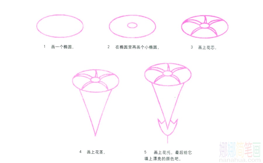 牵牛花的画法