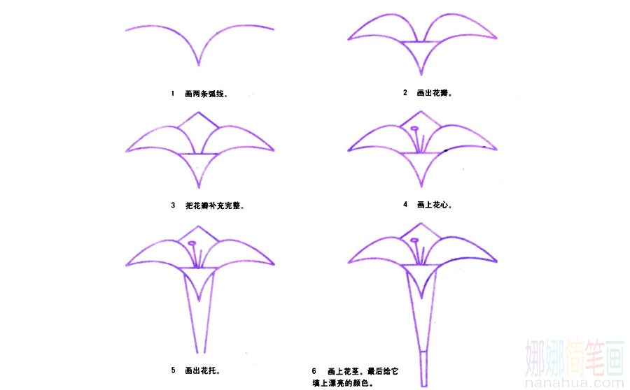 百合花的画法