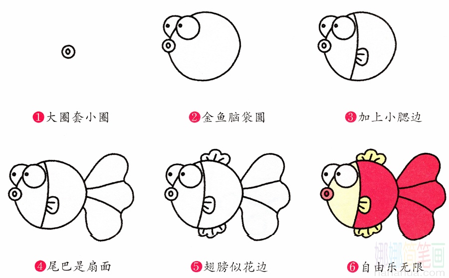 小金鱼的画法