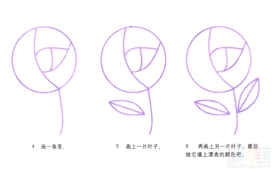 玫瑰的画法