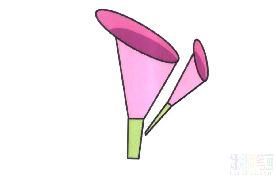 马蹄莲的画法