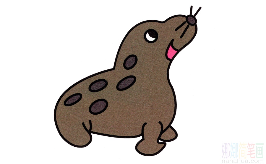 小海豹的画法