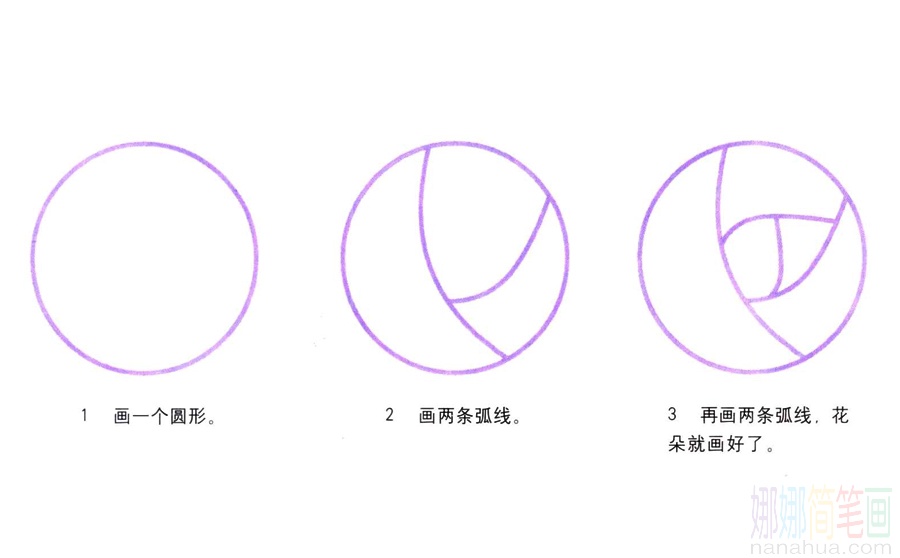 玫瑰的画法