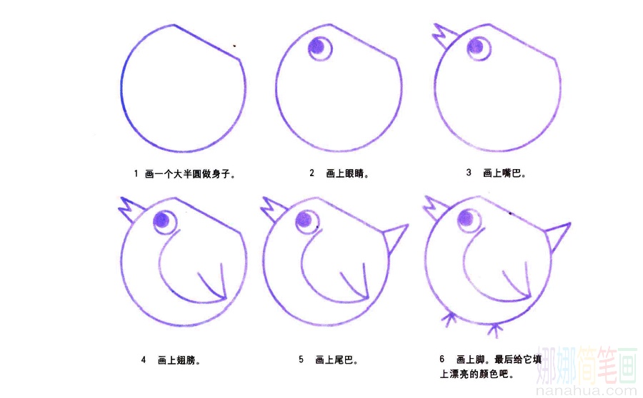 母鸡的画法