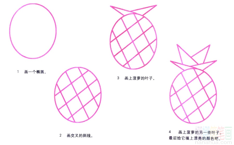 菠萝的画法