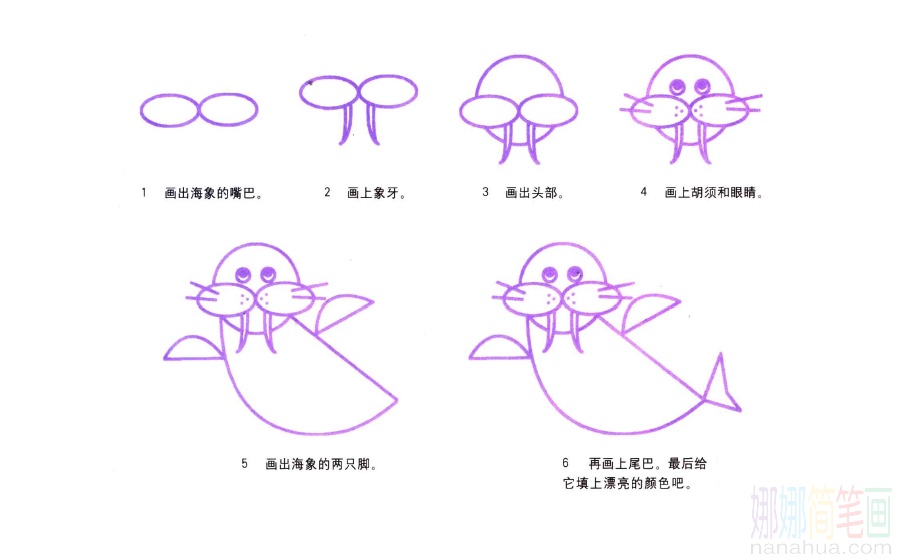 海象的画法