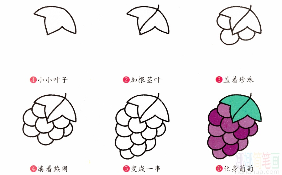 葡萄的画法