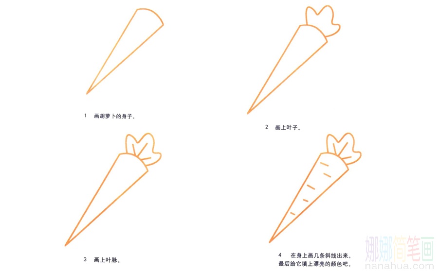胡萝卜的画法
