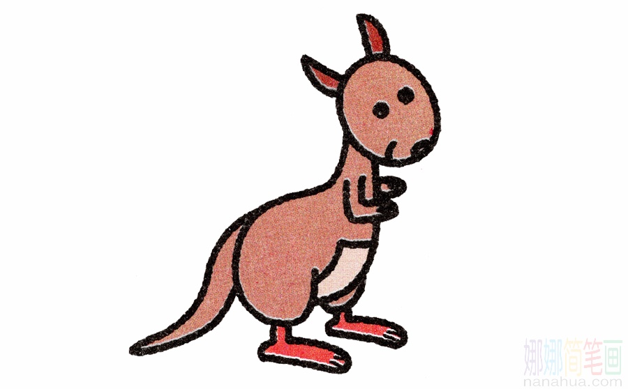 袋鼠的画法