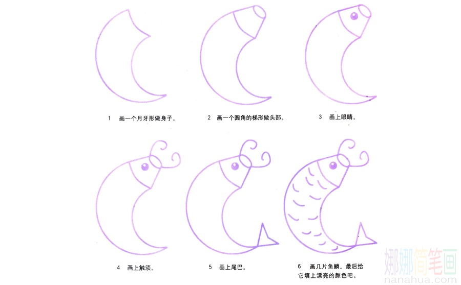 鲤鱼的画法