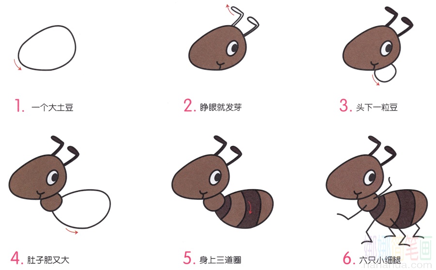 小蚂蚁的画法
