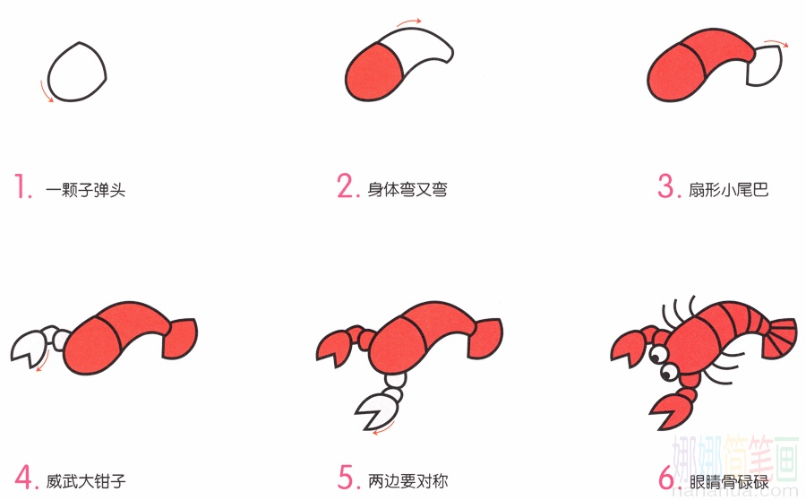 小龙虾的画法