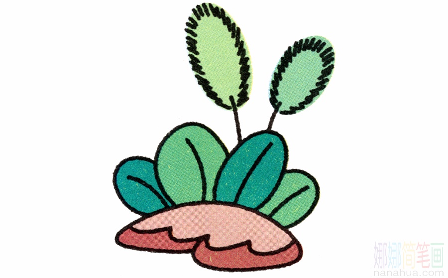 狗尾草的画法