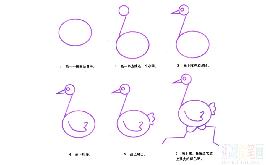 鸵鸟的画法