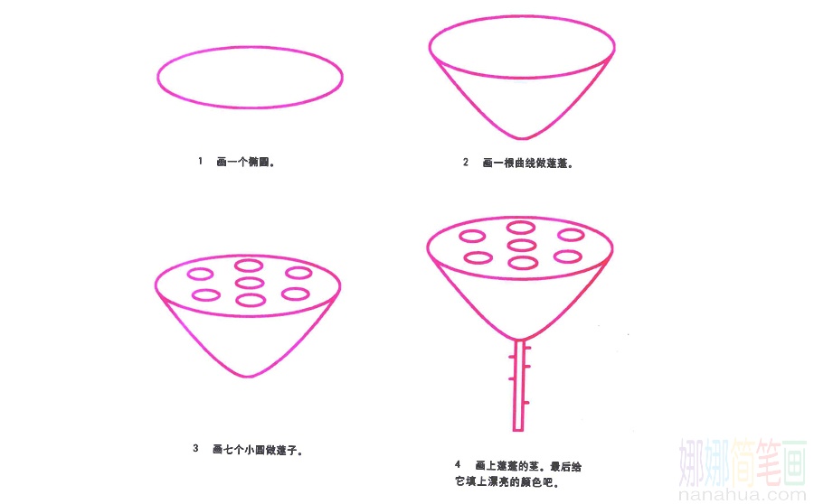 莲蓬的画法