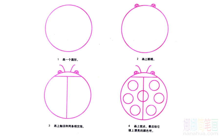 瓢虫的画法