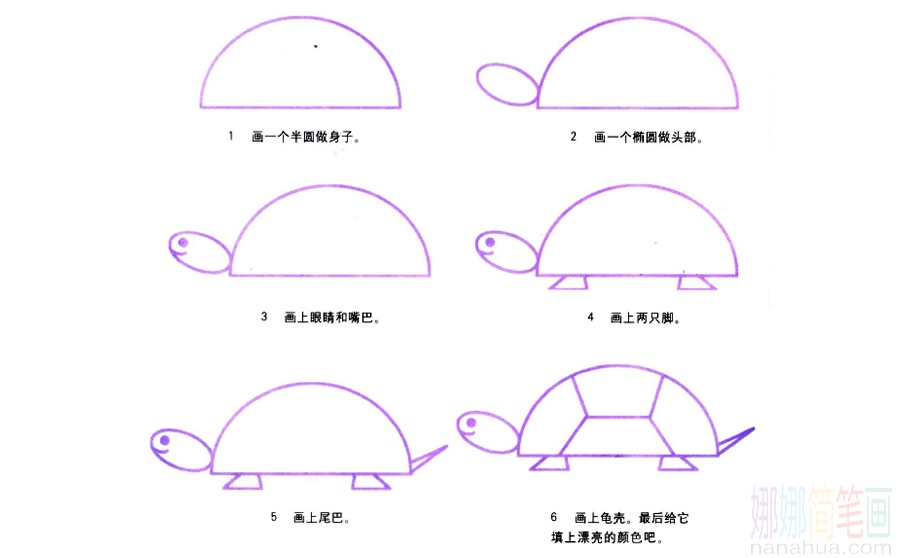 乌龟的画法