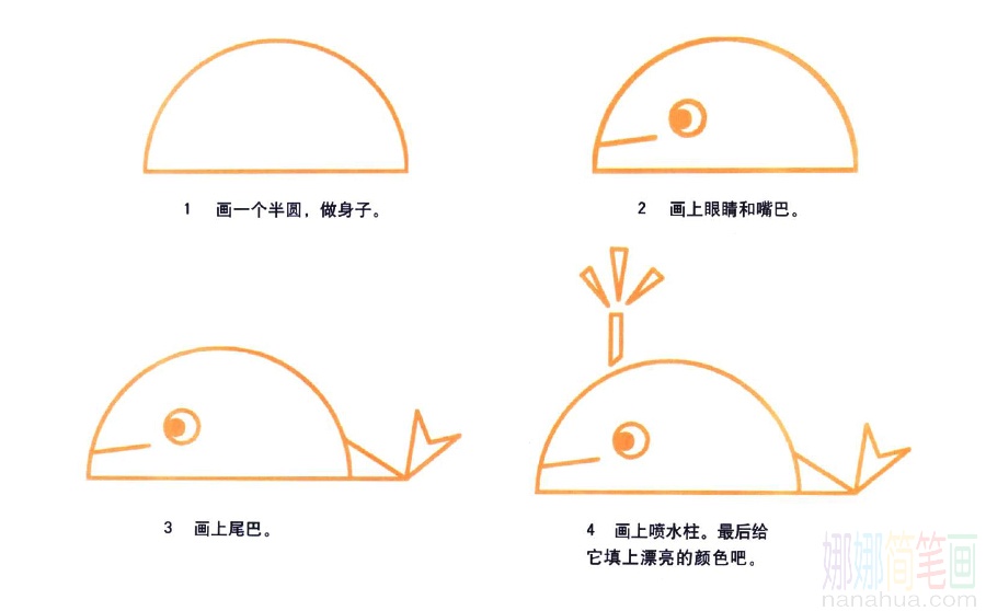 鲸鱼的画法