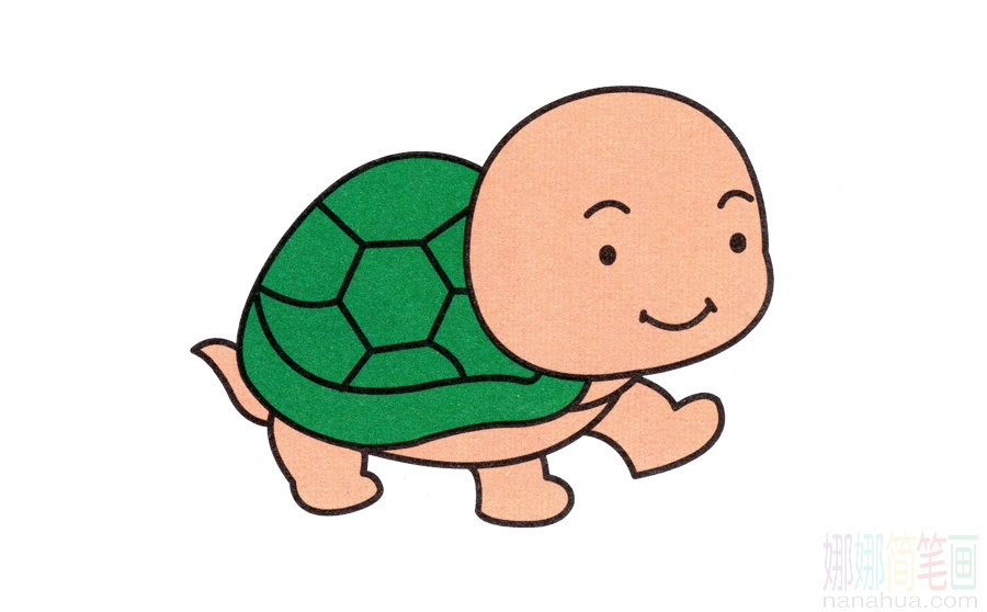 小乌龟的画法