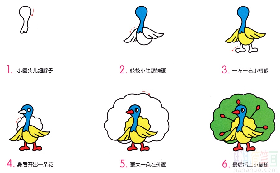 小孔雀的画法