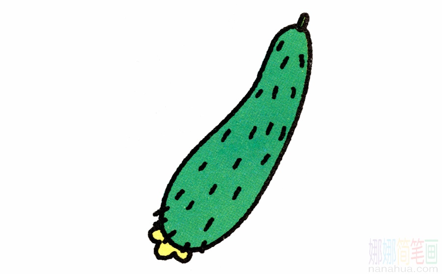黄瓜的画法