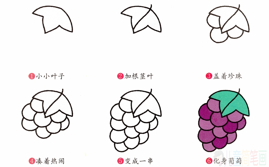 葡萄的画法