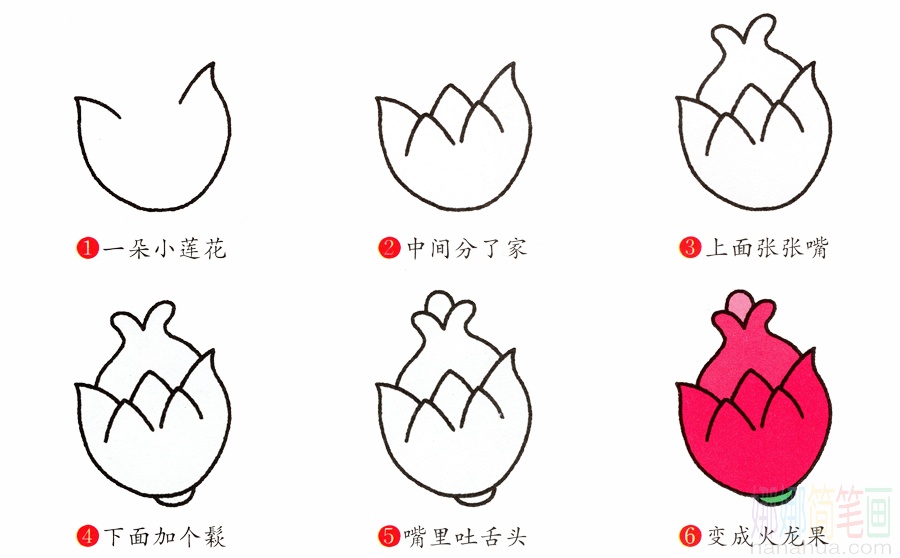 火龙果的画法