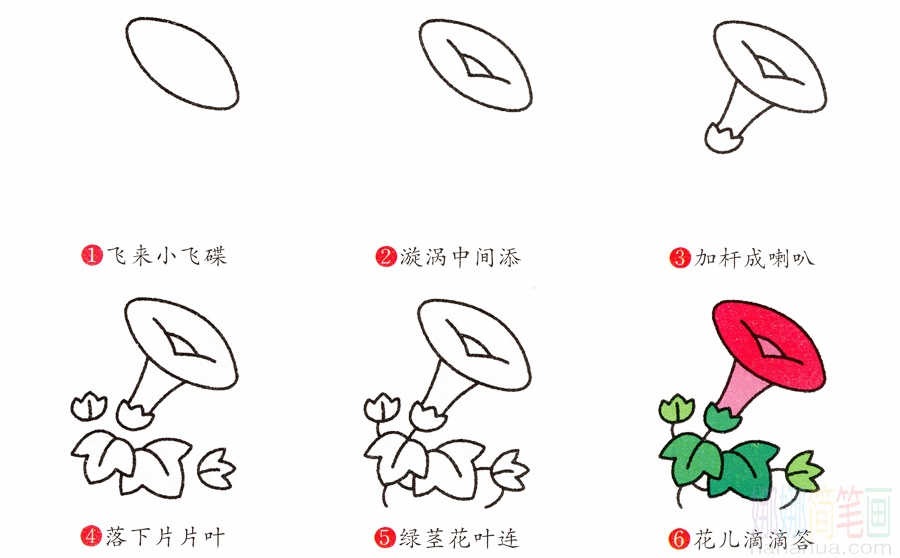 牵牛花的画法