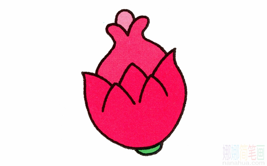 火龙果的画法