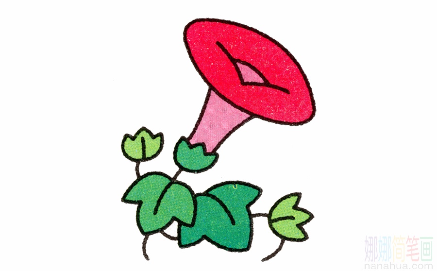 牵牛花的画法