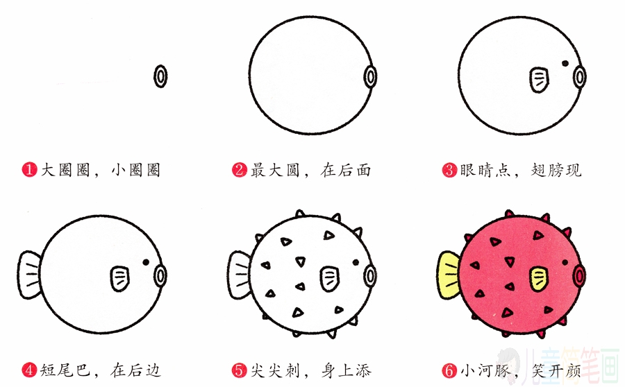 河豚的画法