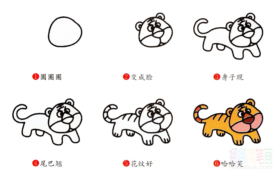 老虎的画法