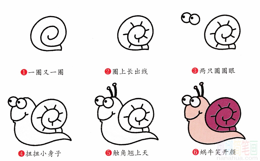 蜗牛的画法