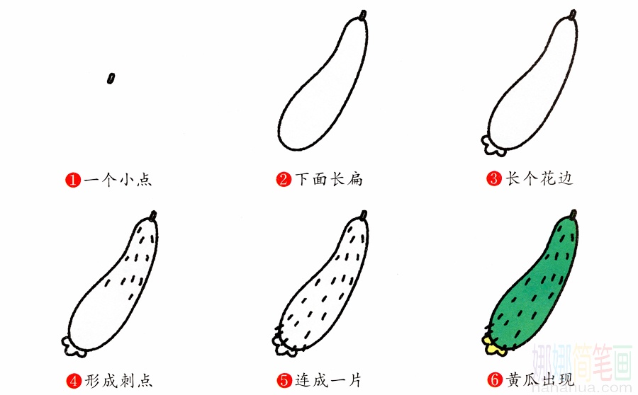 黄瓜的画法