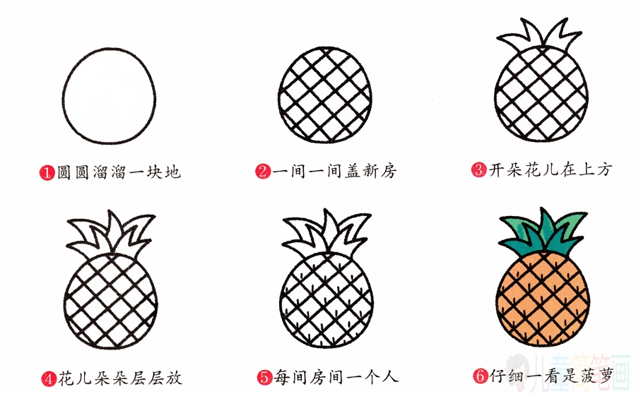 菠萝的简笔画画法