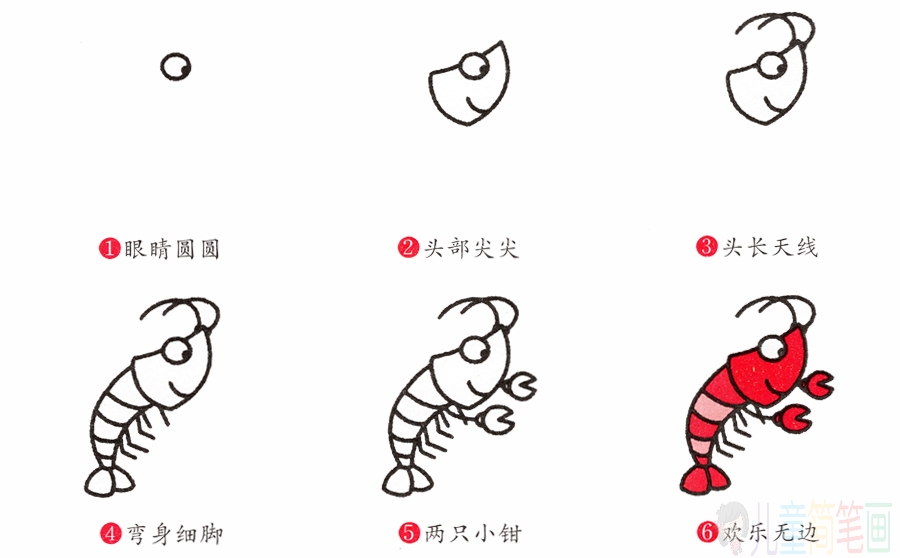 儿童简笔画小龙虾的画法图片教程素描彩图