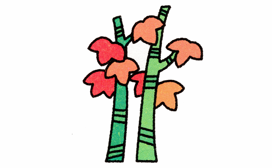 枫树的画法-枫树简笔画，枫树的画法教程